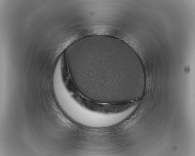 X0000091690393200709061129