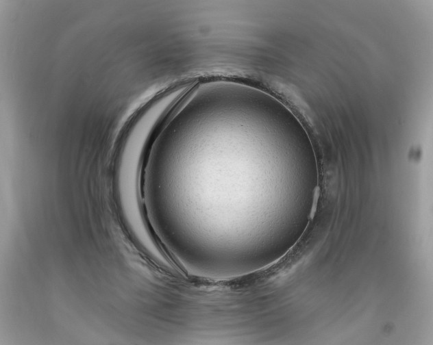 X0000091690395200709061129