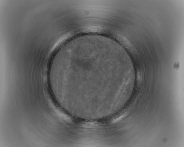 X0000091690396200709061129