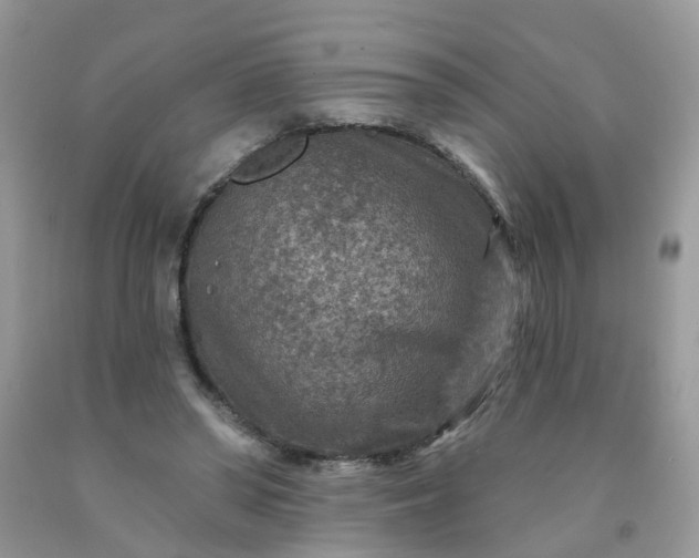 X0000091690398200709061129