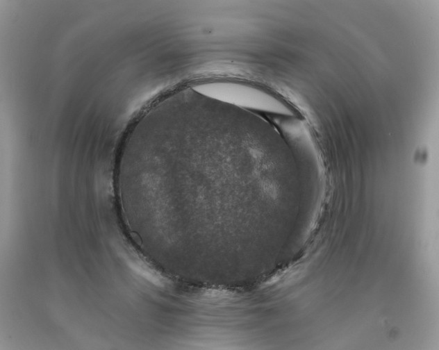 X0000091690399200709061129