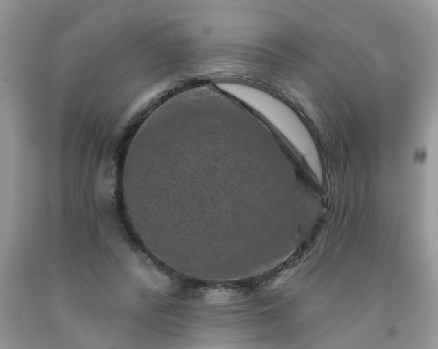 X0000091690400200709061129