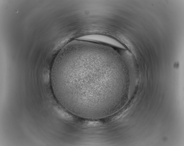 X0000091690401200709061129