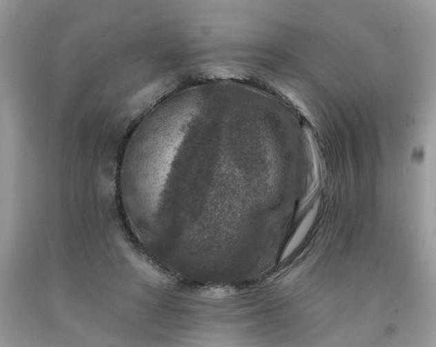 X0000091690402200709061129