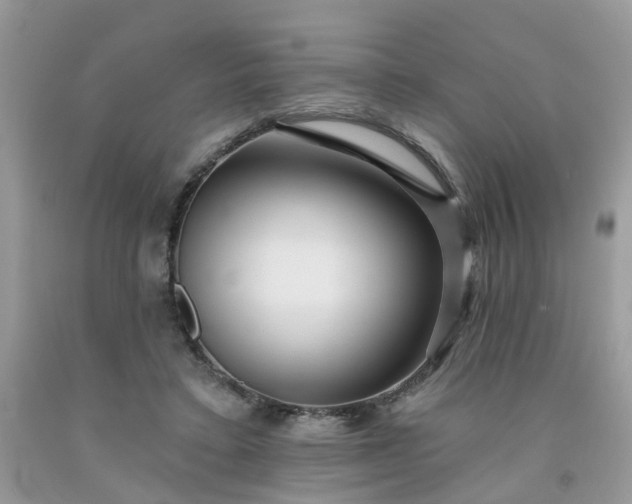 X0000091690403200709061129