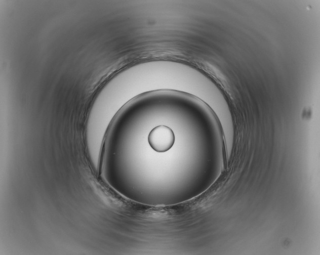 X0000091690405200709061129