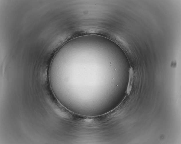 X0000091690406200709061129