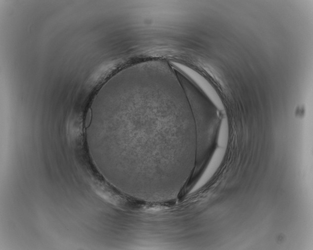 X0000091690407200709061129