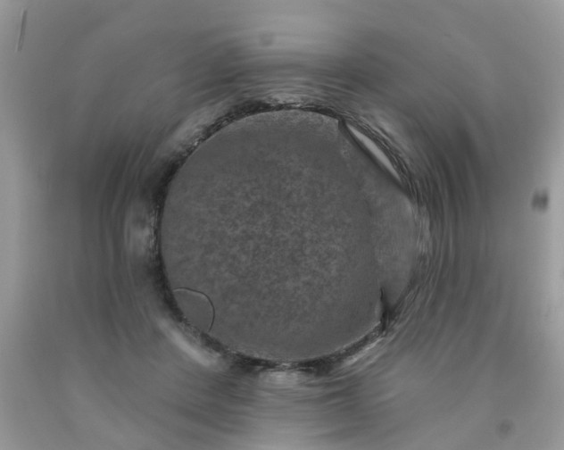 X0000091690408200709061129