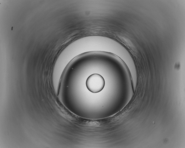 X0000091690409200709061129