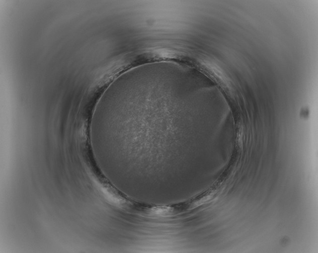 X0000091690410200709061129