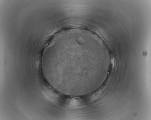 X0000091690412200709061129