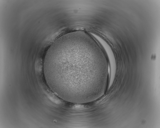 X0000091690413200709061129