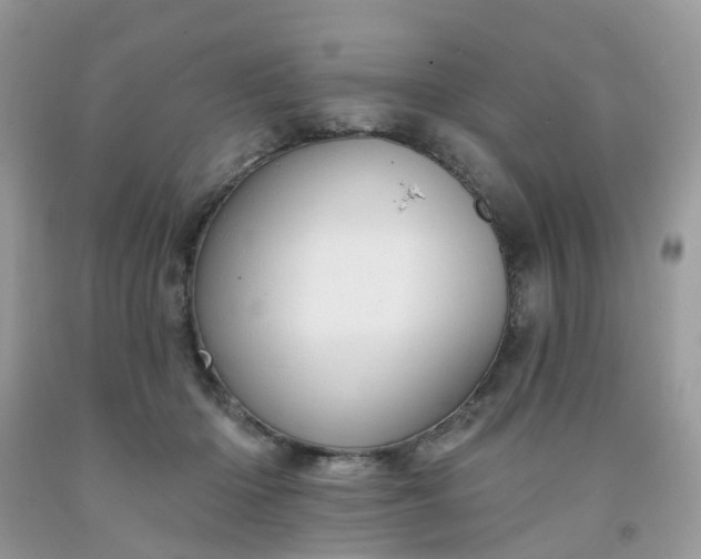 X0000091690414200709061129