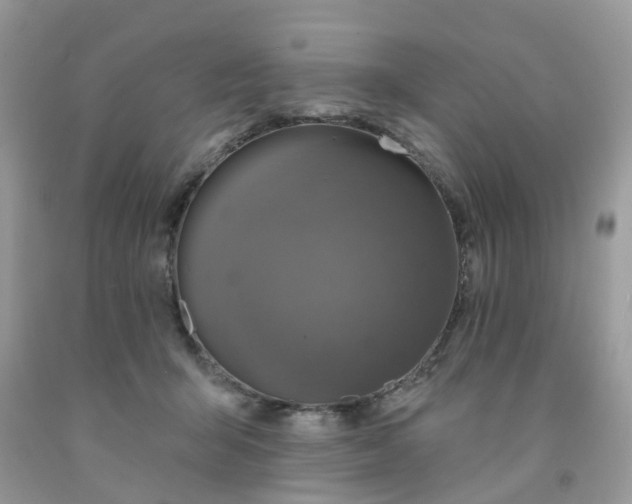 X0000091690415200709061129