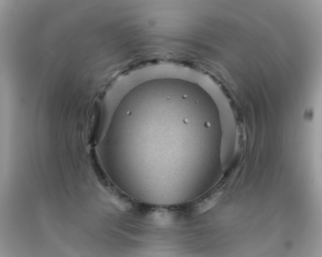 X0000091690416200709061129