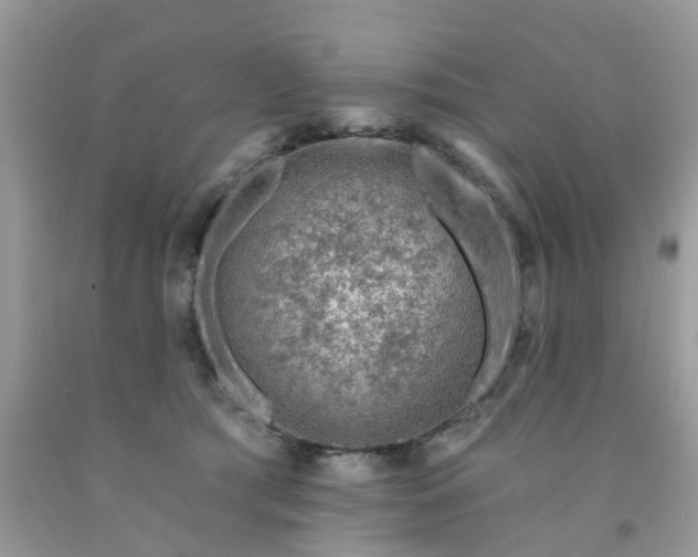 X0000091690417200709061129