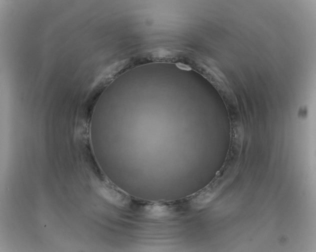 X0000091690419200709061129