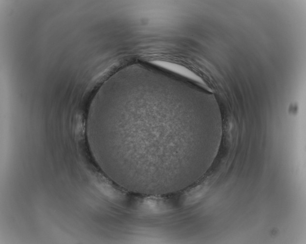 X0000091690420200709061129