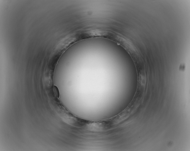 X0000091690422200709061129