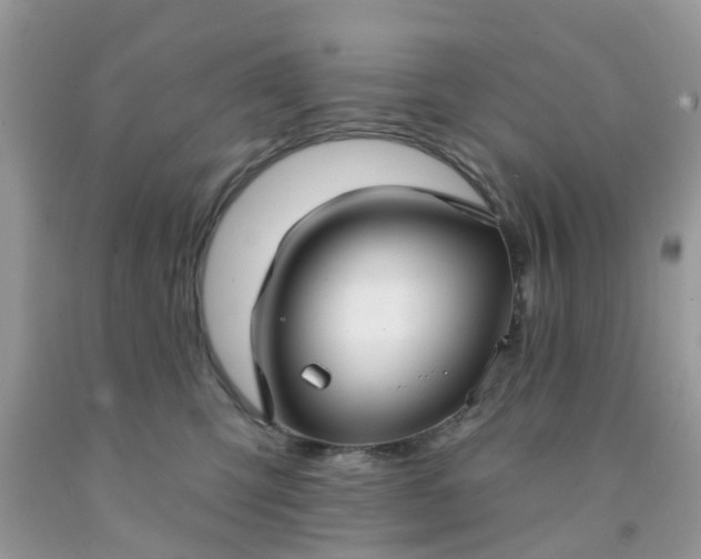 X0000091690423200709061129