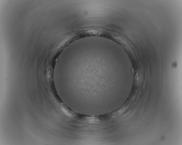 X0000091690424200709061129