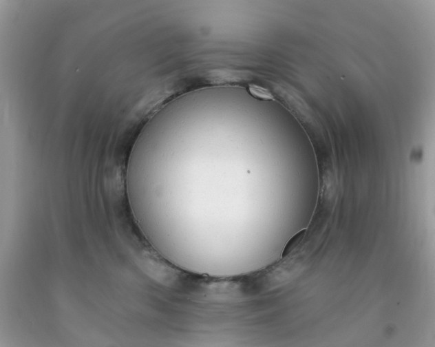 X0000091690426200709061129