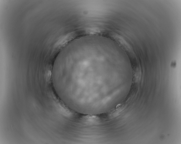 X0000091690427200709061129