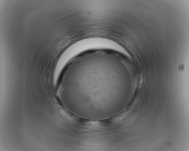 X0000091690428200709061129