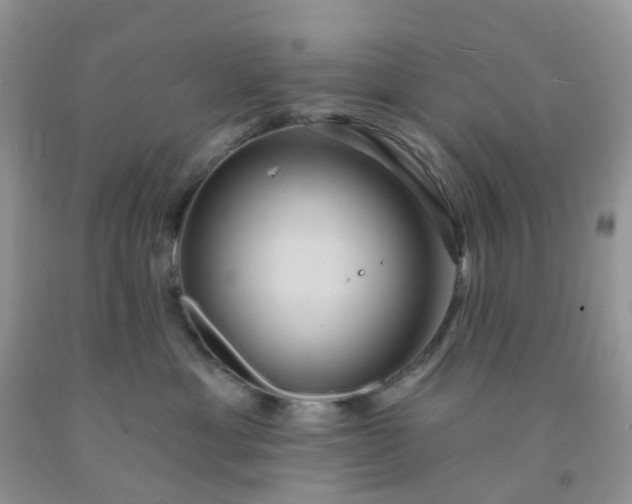 X0000091690429200709061129