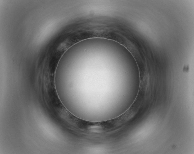 X0000091690430200709061129