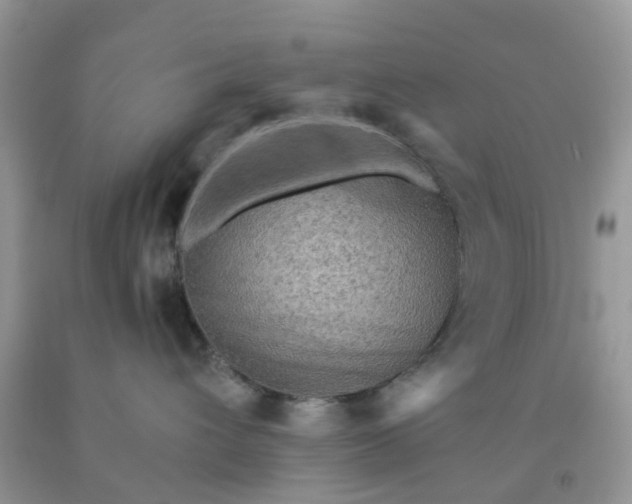 X0000091690432200709061129