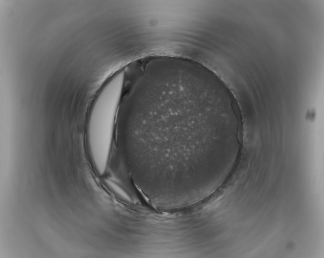 X0000091690434200709061128