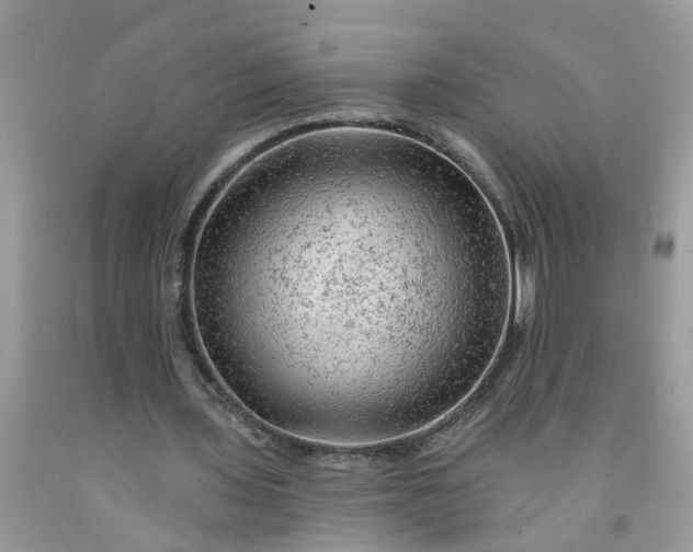 X0000091690435200709061128