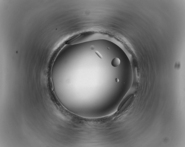 X0000091690436200709061128