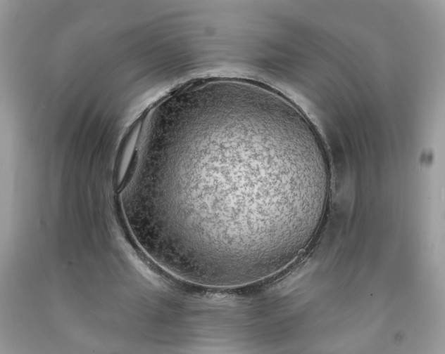 X0000091690437200709061128