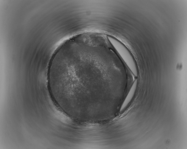 X0000091690438200709061128