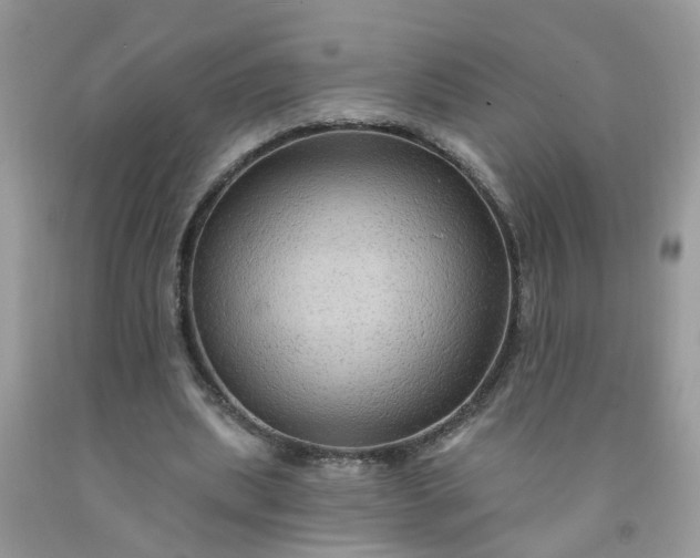 X0000091690439200709061128