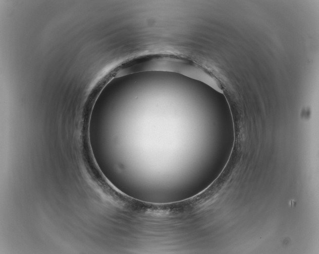 X0000091690440200709061128