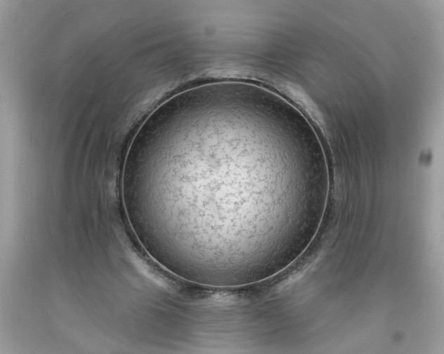 X0000091690441200709061128