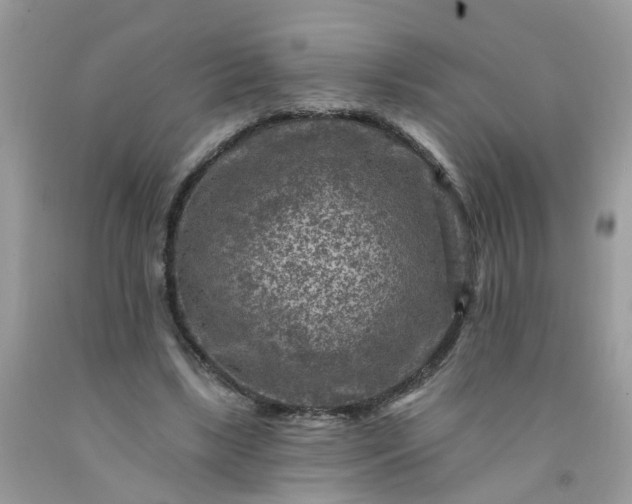 X0000091690443200709061128