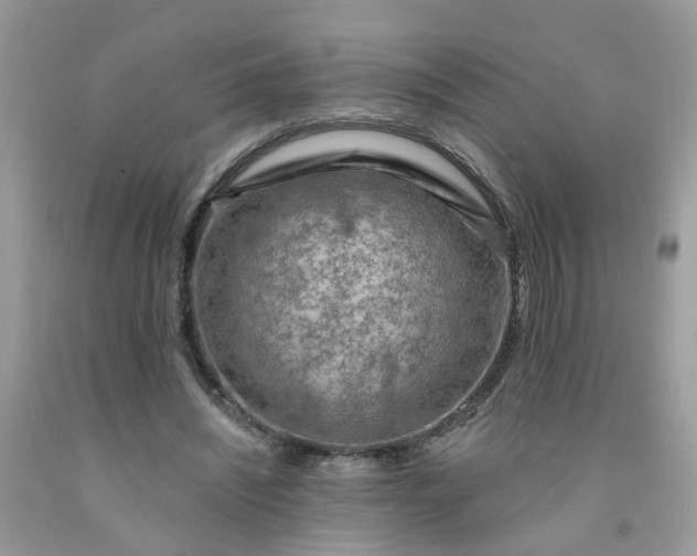 X0000091690444200709061128