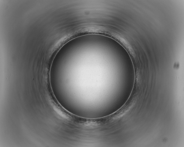 X0000091690445200709061128