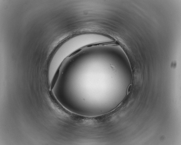 X0000091690446200709061128