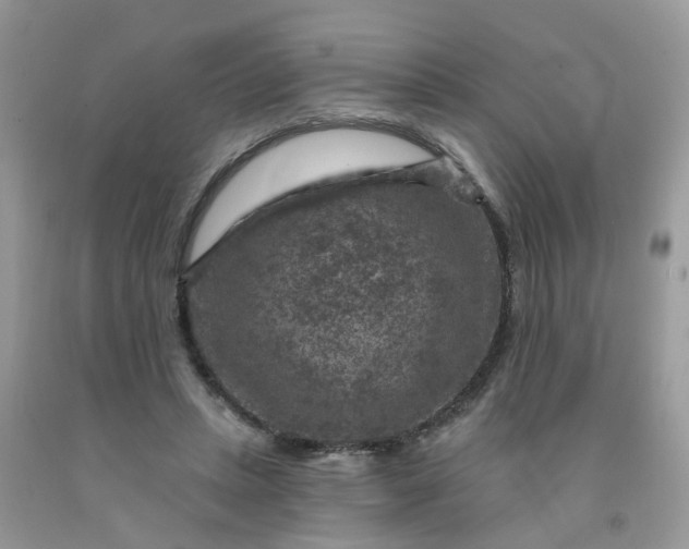 X0000091690447200709061128