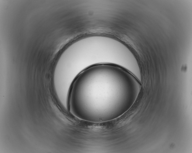 X0000091690448200709061128