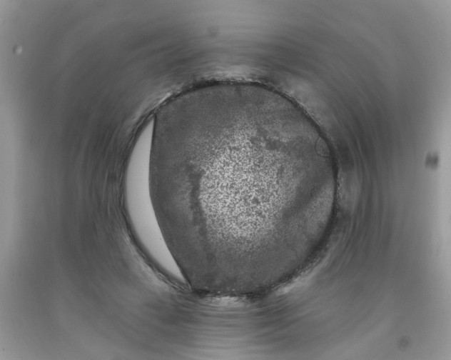 X0000091690449200709061128