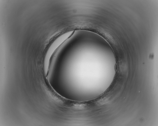 X0000091690450200709061128