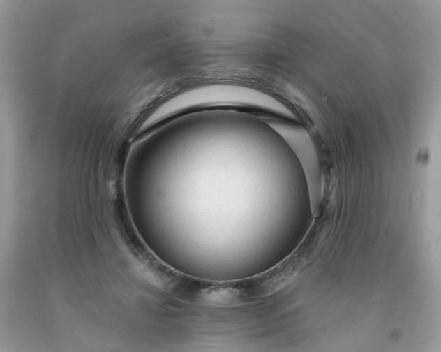 X0000091690452200709061128