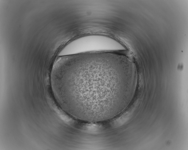 X0000091690453200709061129